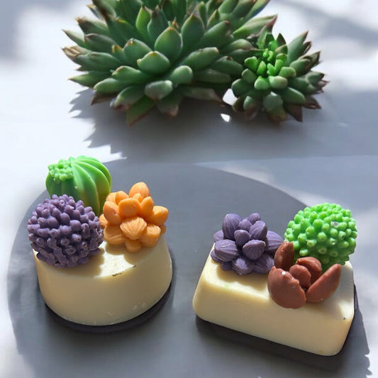 2.Succulent Soaps